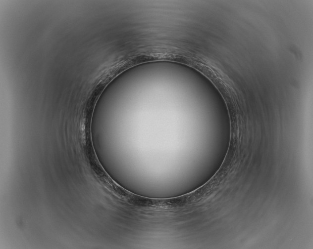 X0000112860696200908281604