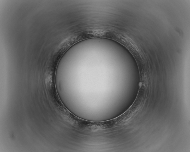 X0000112860697200908281604