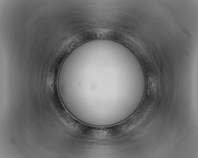 X0000112860698200908281604