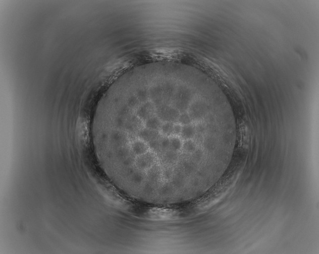 X0000112860699200908281604
