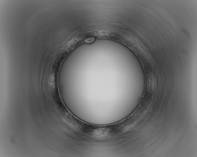 X0000112860700200908281604