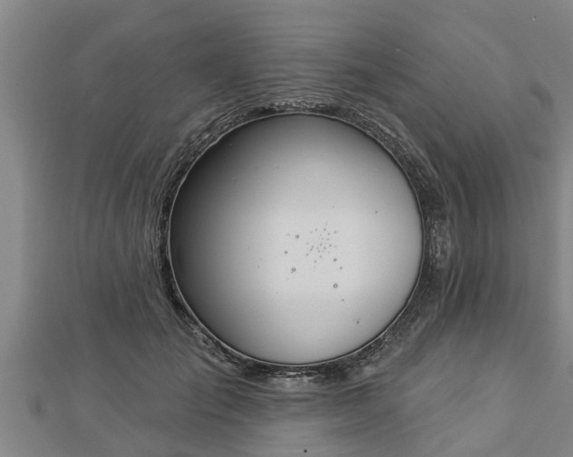 X0000112860701200908281604