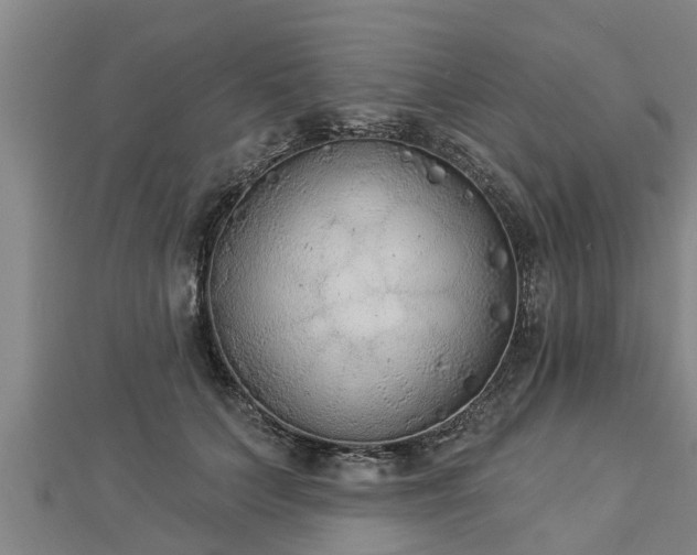 X0000112860703200908281604