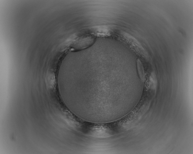 X0000112860704200908281604