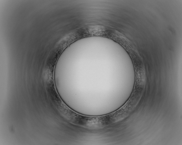 X0000112860705200908281604