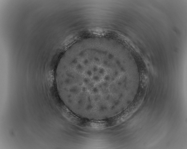 X0000112860707200908281604