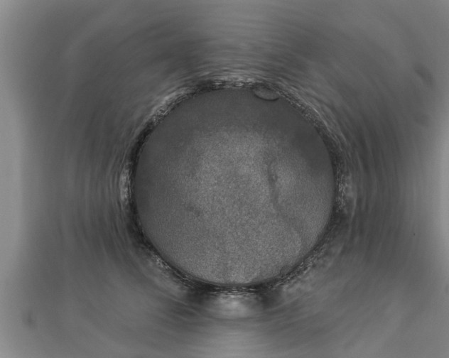X0000112860708200908281604