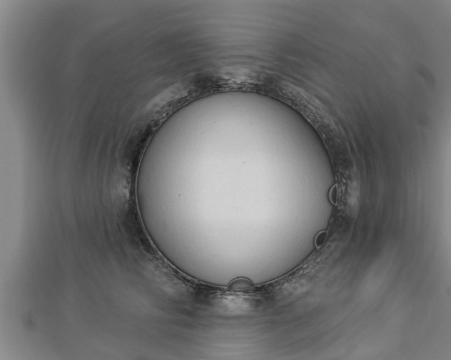 X0000112860710200908281604