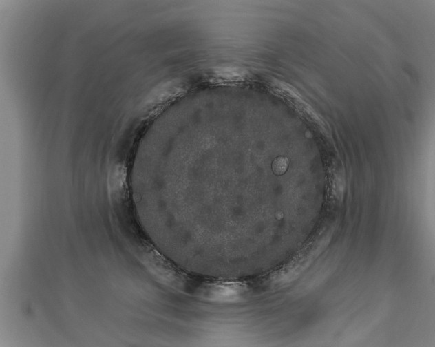 X0000112860711200908281604