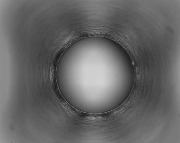 X0000112860712200908281604