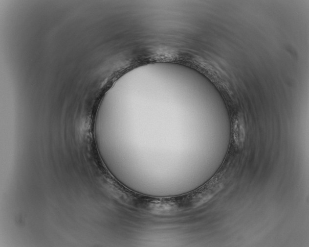 X0000112860714200908281604