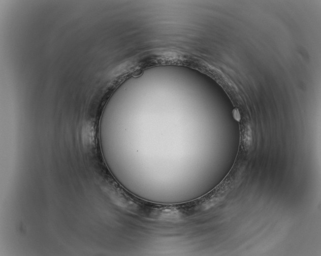 X0000112860715200908281604