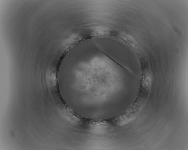 X0000112860716200908281604