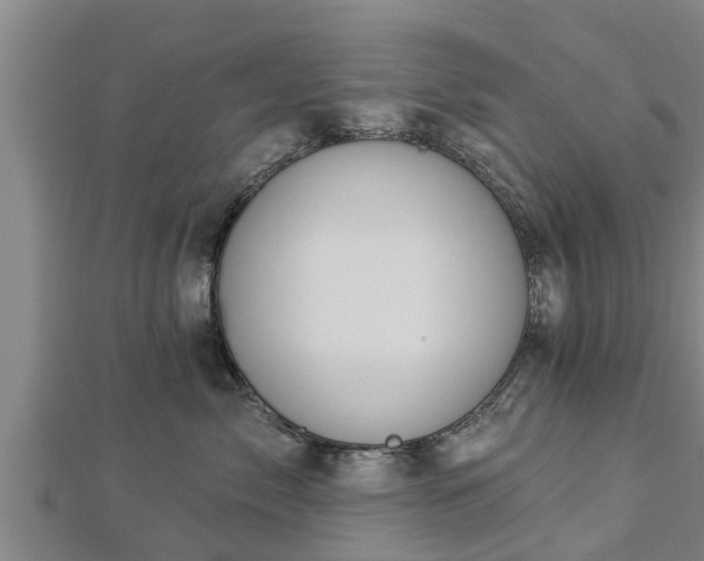 X0000112860717200908281604