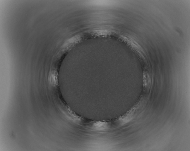 X0000112860718200908281604