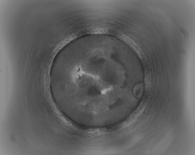 X0000112860721200908281603