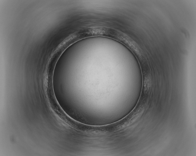 X0000112860722200908281603