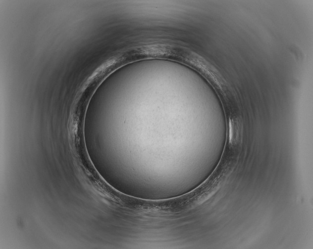 X0000112860723200908281603