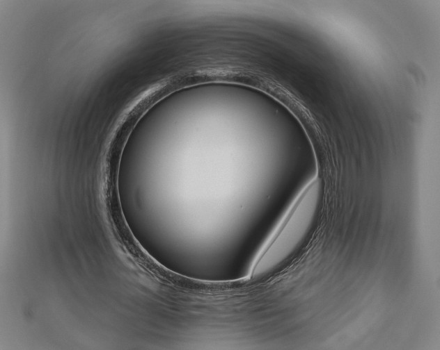 X0000112860724200908281603