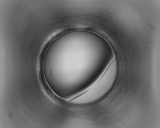 X0000112860726200908281603