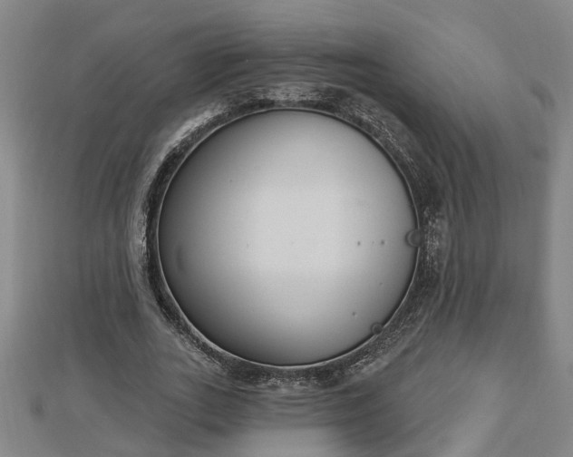 X0000112860727200908281603