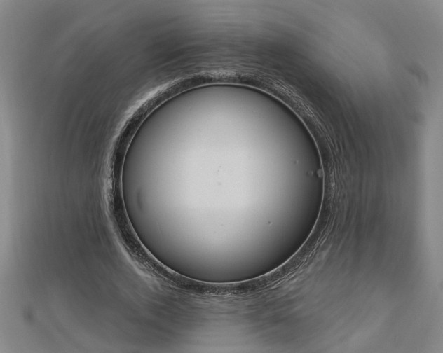 X0000112860728200908281603