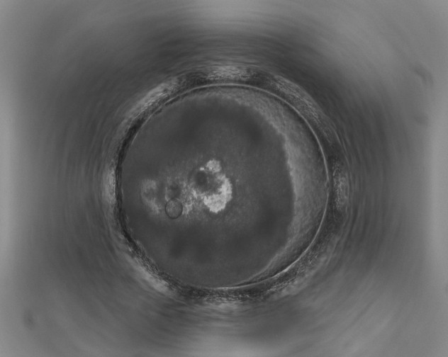 X0000112860729200908281603