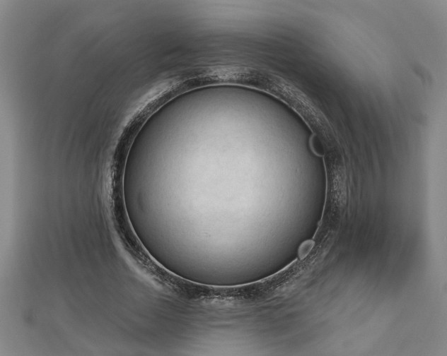 X0000112860730200908281603