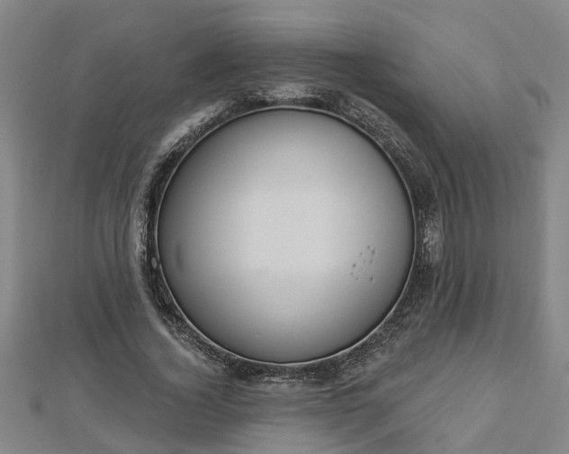 X0000112860732200908281603