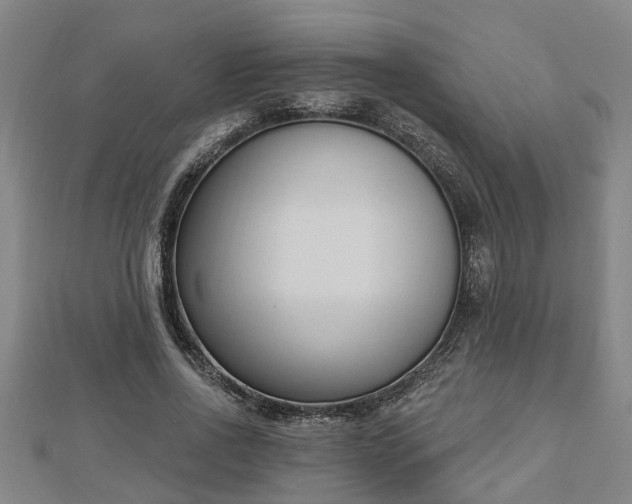 X0000112860734200908281603