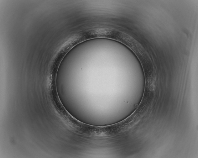 X0000112860735200908281603