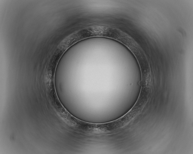X0000112860737200908281603