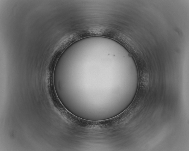 X0000112860738200908281603