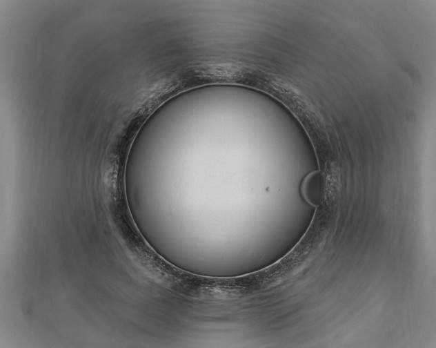 X0000112860739200908281603
