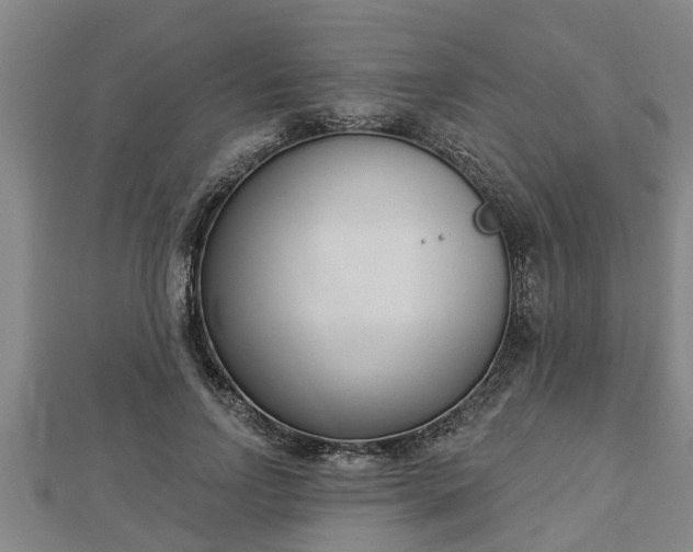 X0000112860742200908281603