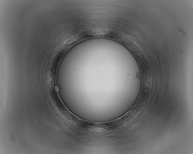 X0000112860743200908281603