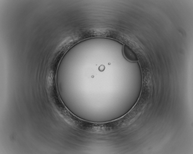 X0000112860744200908281603