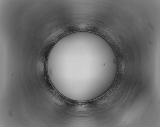 X0000112860746200908281603
