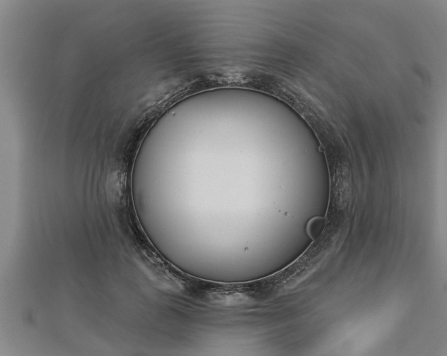 X0000112860747200908281603