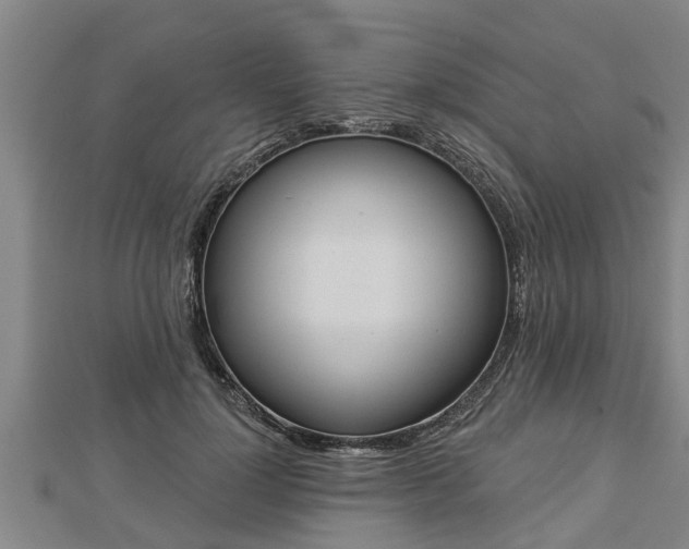 X0000112860748200908281603