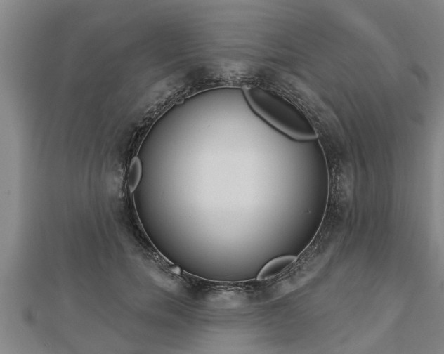 X0000112860750200908281603