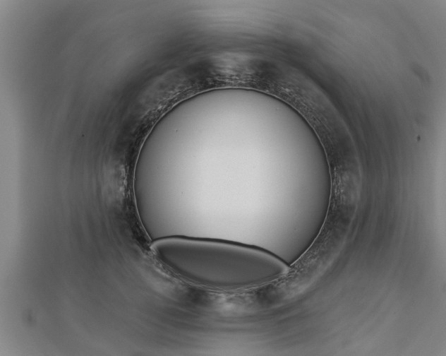 X0000112860752200908281603