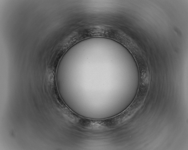 X0000112860753200908281604