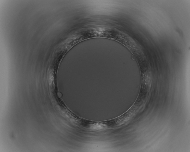 X0000112860754200908281604
