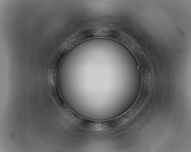 X0000112860755200908281604