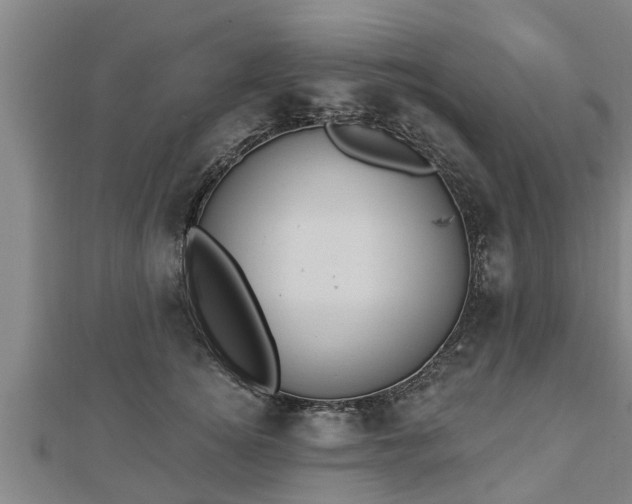 X0000112860756200908281604