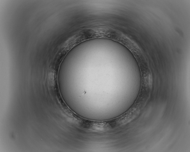 X0000112860757200908281604