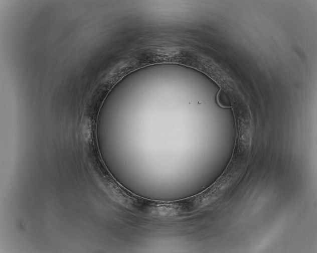 X0000112860758200908281604