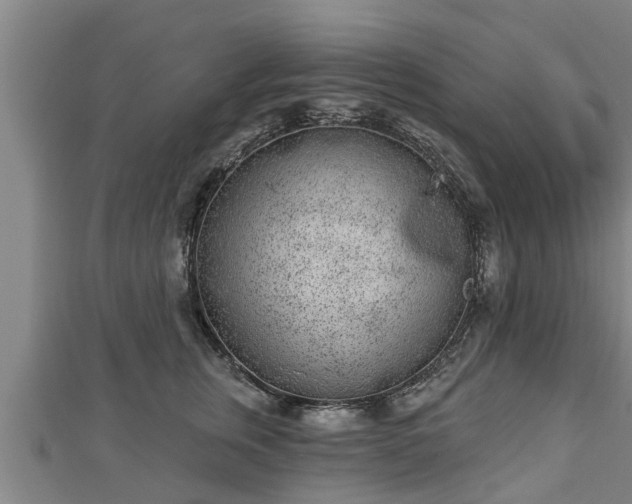 X0000112860759200908281604