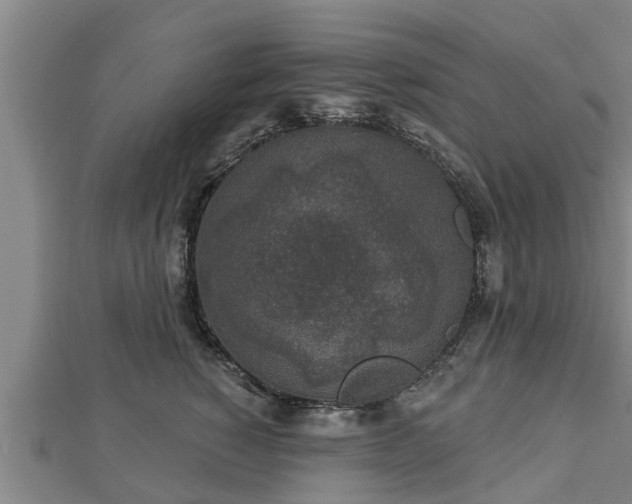 X0000112860760200908281604